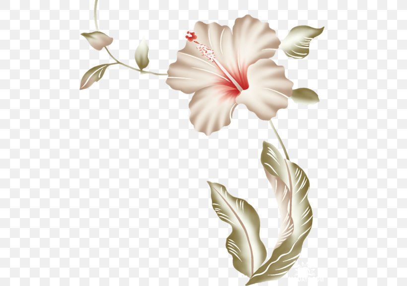 Hibiscus Flower, PNG, 500x577px, Hibiscus, Cut Flowers, Floral Design, Flower, Flowering Plant Download Free