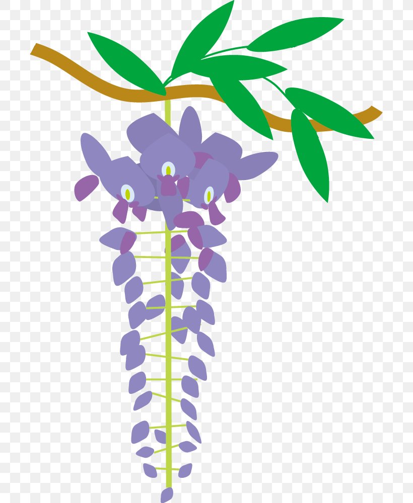 ワケチョウレキシミンゾクシリョウカン 四季 Japanese Wisteria Clip Art, PNG, 701x1000px, Japanese Wisteria, Artwork, Branch, Flora, Flower Download Free