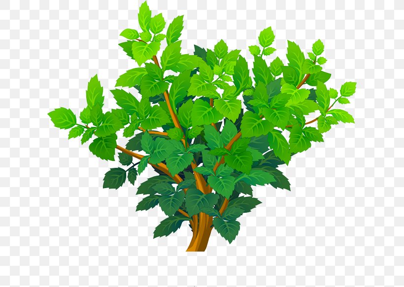 Leaf Plant Stem Flowerpot Herb, PNG, 630x583px, Leaf, Branch, Flowerpot, Herb, Plant Download Free