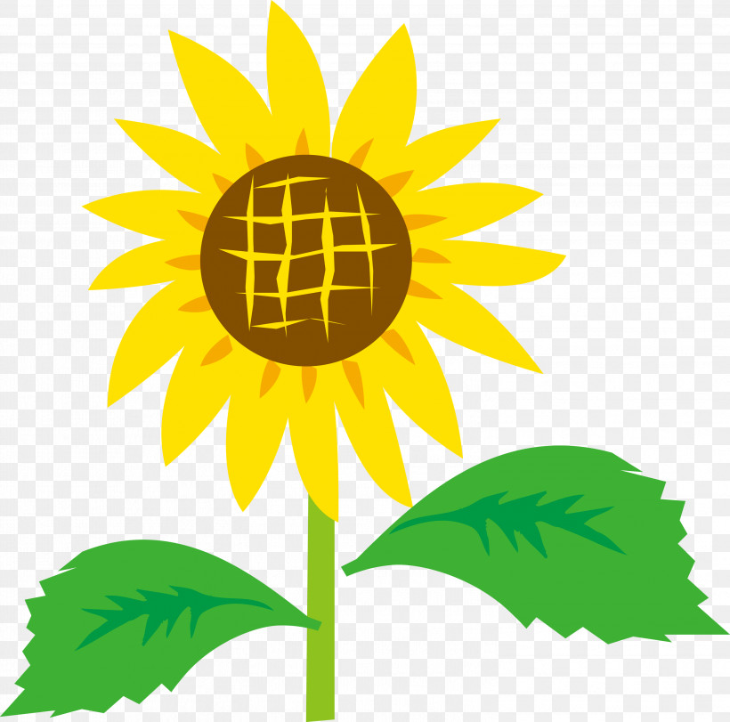 Sunflower, PNG, 2999x2968px, Sunflower, Cartoon, Flower, Leaf, Plant Download Free