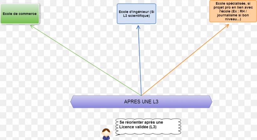 Licence Professionnelle Kinesiotherapy Higher Education Sciences Et Techniques Des Activités Physiques Et Sportives, PNG, 1045x573px, Licence, Advanced Vocational Diploma, Area, Career Counseling, Diagram Download Free