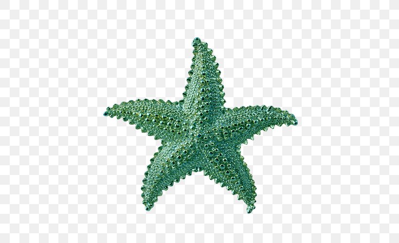 Starfish Clip Art, PNG, 500x500px, Starfish, Basket Star, Benthos, Brittle Star, Echinoderm Download Free