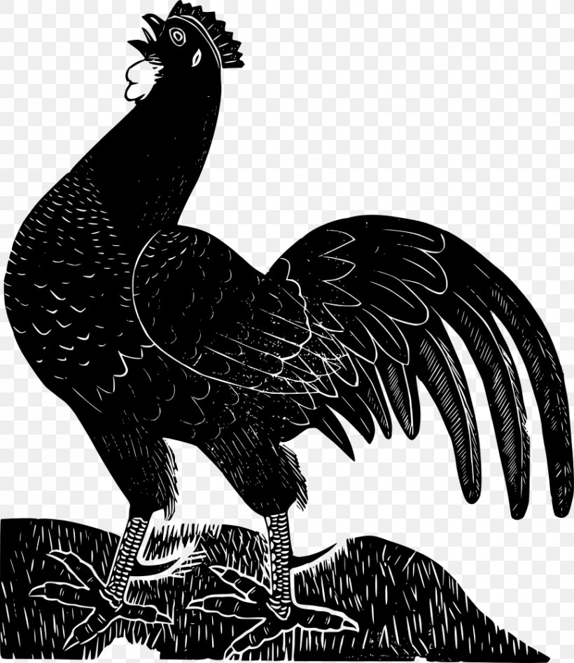 Ayam Cemani Leghorn Chicken Rooster Poultry Farming Clip Art, PNG, 866x1000px, Ayam Cemani, Beak, Bird, Bird Of Prey, Black Download Free