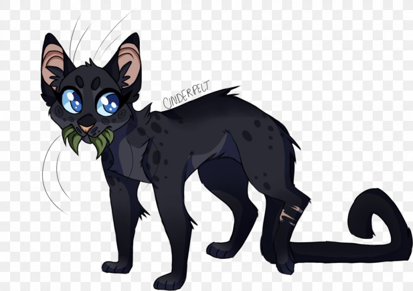Black Cat Whiskers ThunderClan Medicine Cat, PNG, 1024x722px, Black Cat, Calico Cat, Carnivoran, Cat, Cat Like Mammal Download Free
