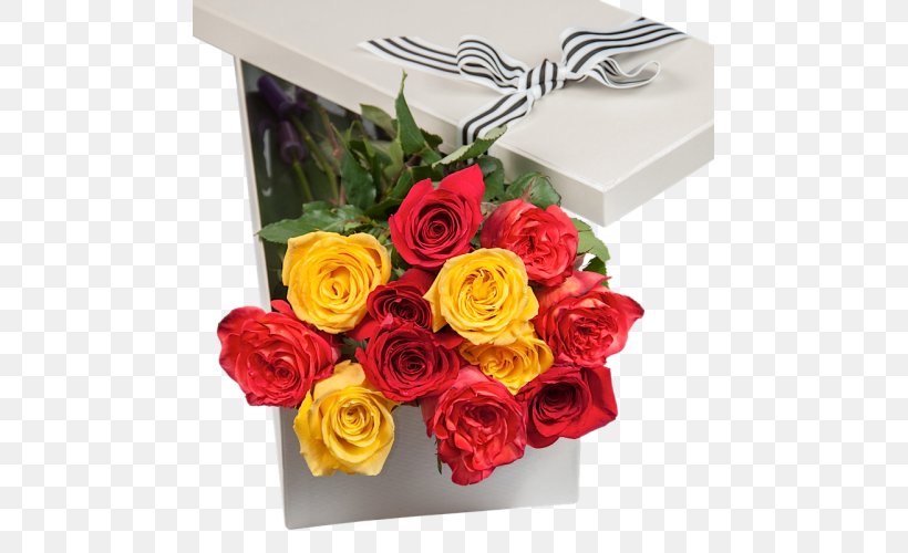 Garden Roses Cut Flowers Floral Design, PNG, 500x500px, Garden Roses, Artificial Flower, Bg Flowers, Box, Cut Flowers Download Free