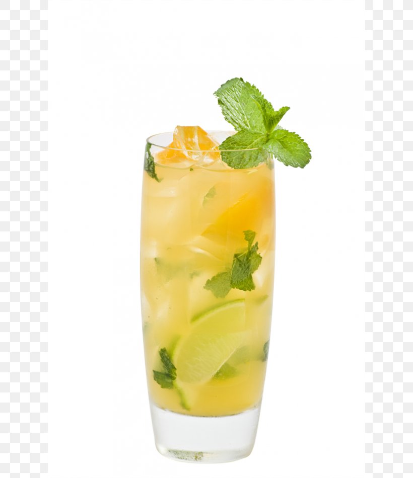 Mojito Cocktail Garnish Aguas Frescas Mai Tai Mint Julep, PNG, 770x950px, Mojito, Aguas Frescas, Batida, Cocktail, Cocktail Garnish Download Free