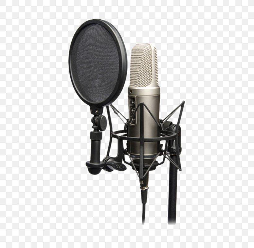 Røde Microphones RØDE NT2-A Shock Mount RØDE NT1, PNG, 800x800px, Microphone, Audio, Audio Equipment, Condensatormicrofoon, Microphone Accessory Download Free