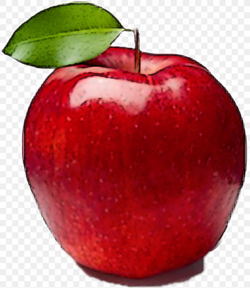 Apple Fruit Natural Foods Red Plant, PNG, 1008x1158px, Apple, Accessory Fruit, Food, Fruit, Leaf Download Free