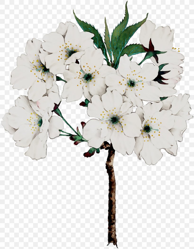 Cut Flowers Twig Floral Design Flower Bouquet, PNG, 1616x2069px, Flower, Artificial Flower, Blossom, Bouquet, Branch Download Free
