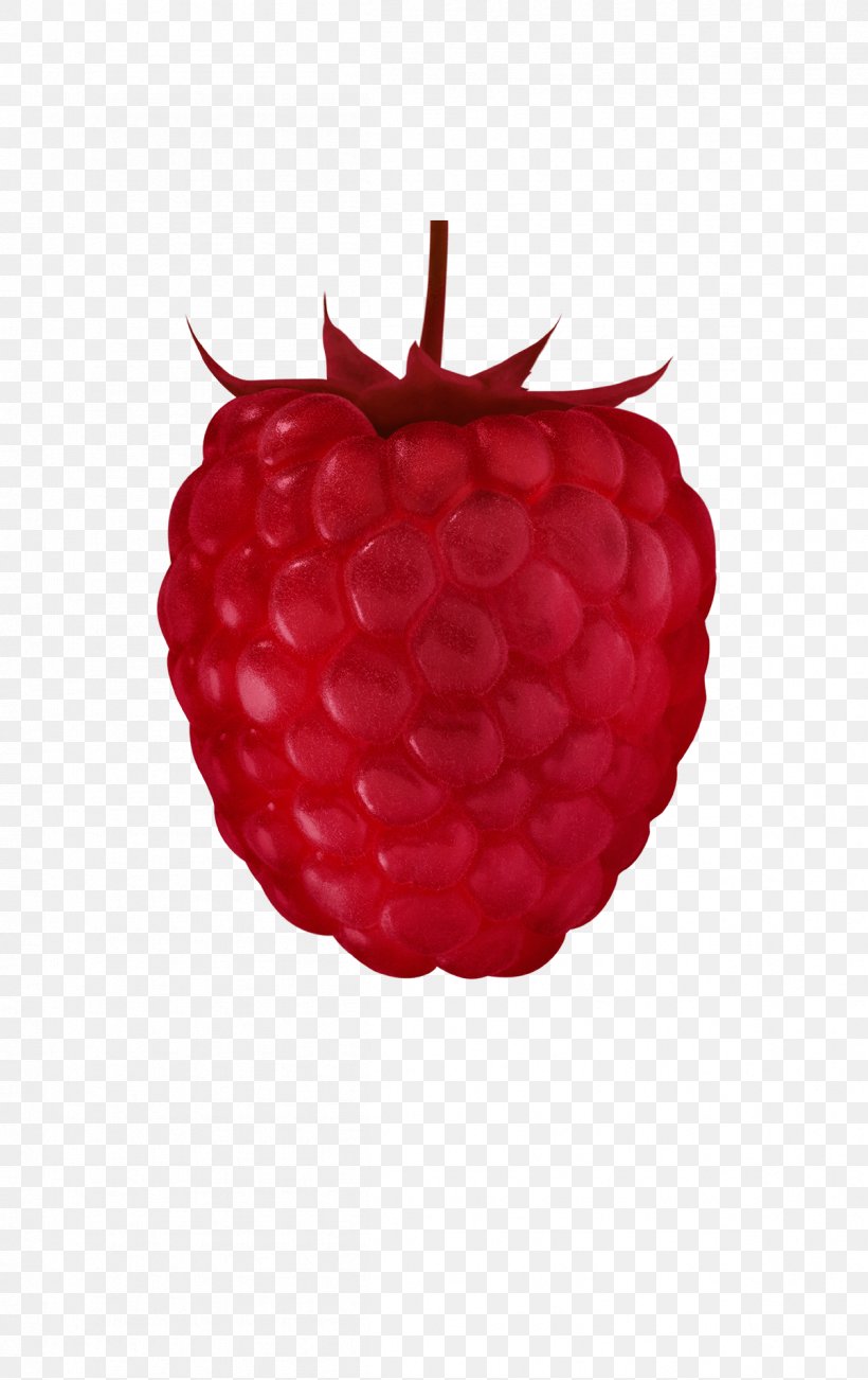 Red Raspberry Accessory Fruit Auglis, PNG, 1202x1910px, Raspberry, Accessory Fruit, Auglis, Berry, Blackberry Download Free
