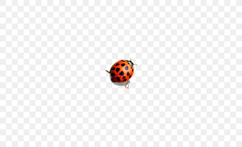 Coccinella Septempunctata Adobe Illustrator Euclidean Vector, PNG, 500x500px, Beetle, Animal, Body Jewelry, Coccinella Septempunctata, Insect Download Free