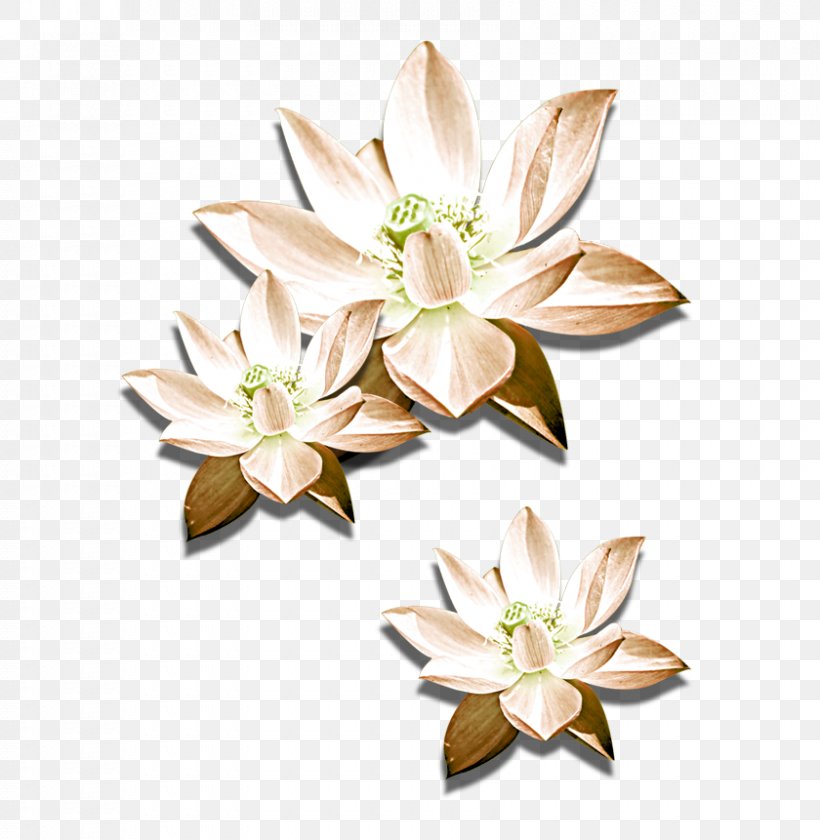 Cut Flowers Nelumbo Nucifera Icon, PNG, 840x861px, Cut Flowers, Flower, Flowering Plant, Nelumbo Nucifera, Petal Download Free