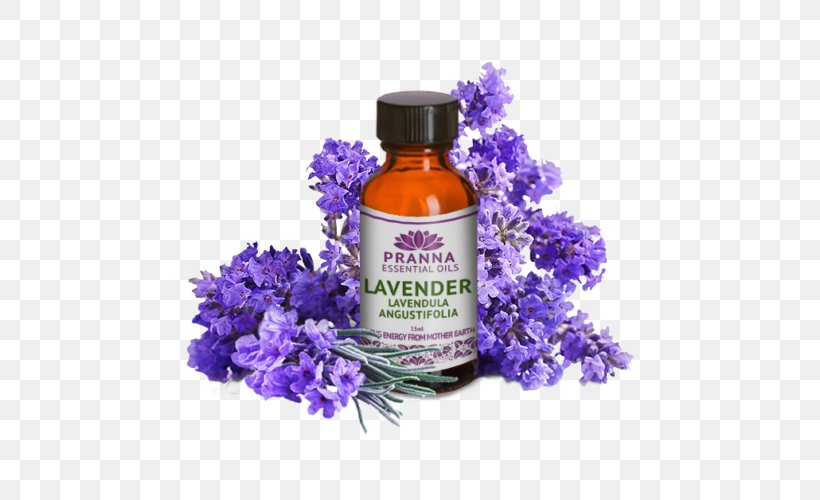 Lavender Flower, PNG, 500x500px, Liquidm Inc, Annual Plant, English Lavender, Flower, Impatiens Download Free