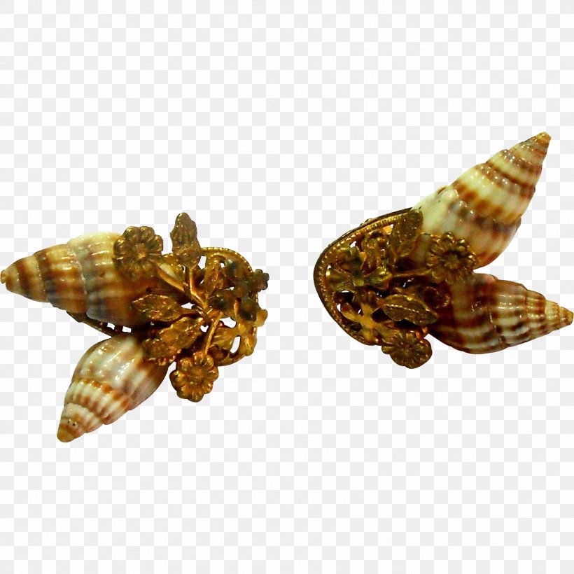 Moth Jewellery Insect, PNG, 1801x1801px, Moth, Insect, Invertebrate, Jewellery, Membrane Winged Insect Download Free
