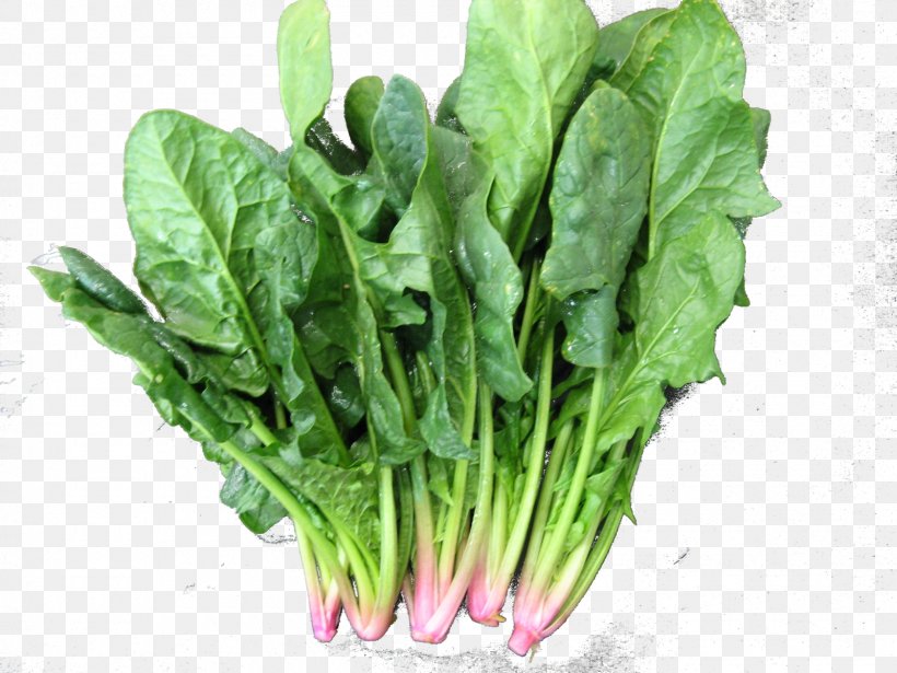 Spinach Leaf Vegetable Chard Broccoli, PNG, 1600x1200px, Spinach, Broccoli, Cauliflower, Celtuce, Chard Download Free