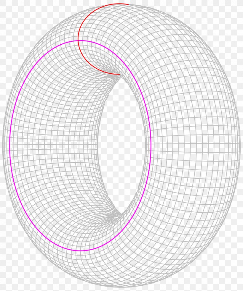 Torus Mathematical Problem Circle Mathematics Collatz Conjecture, PNG, 1200x1440px, Torus, Collatz Conjecture, Conjecture, Equation, Homology Download Free