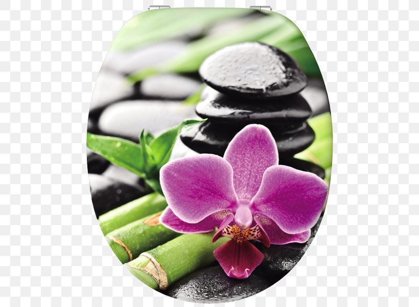 Bamboo Orchid Zen Rock Painting, PNG, 600x600px, Bamboo Orchid, Art, Bamboo, Bamboo Painting, Basalt Download Free