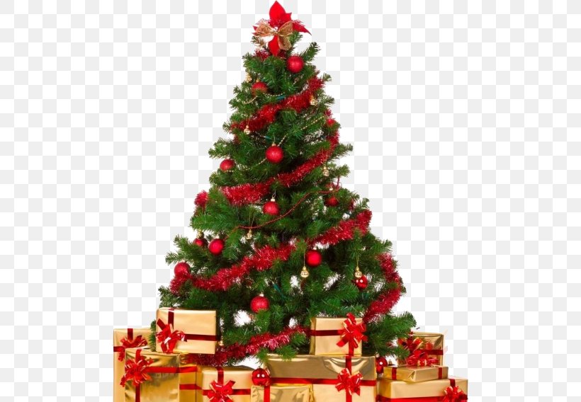 Christmas Tree Christmas Decoration Garland Gift, PNG, 503x568px, Christmas, Christmas Carol, Christmas Decoration, Christmas Dinner, Christmas Eve Download Free