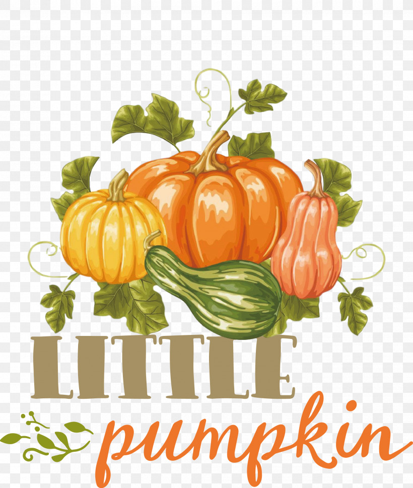 Little Pumpkin Thanksgiving Autumn, PNG, 2063x2439px, Little Pumpkin, Autumn, Lammas, Lughnasadh, Thanksgiving Download Free