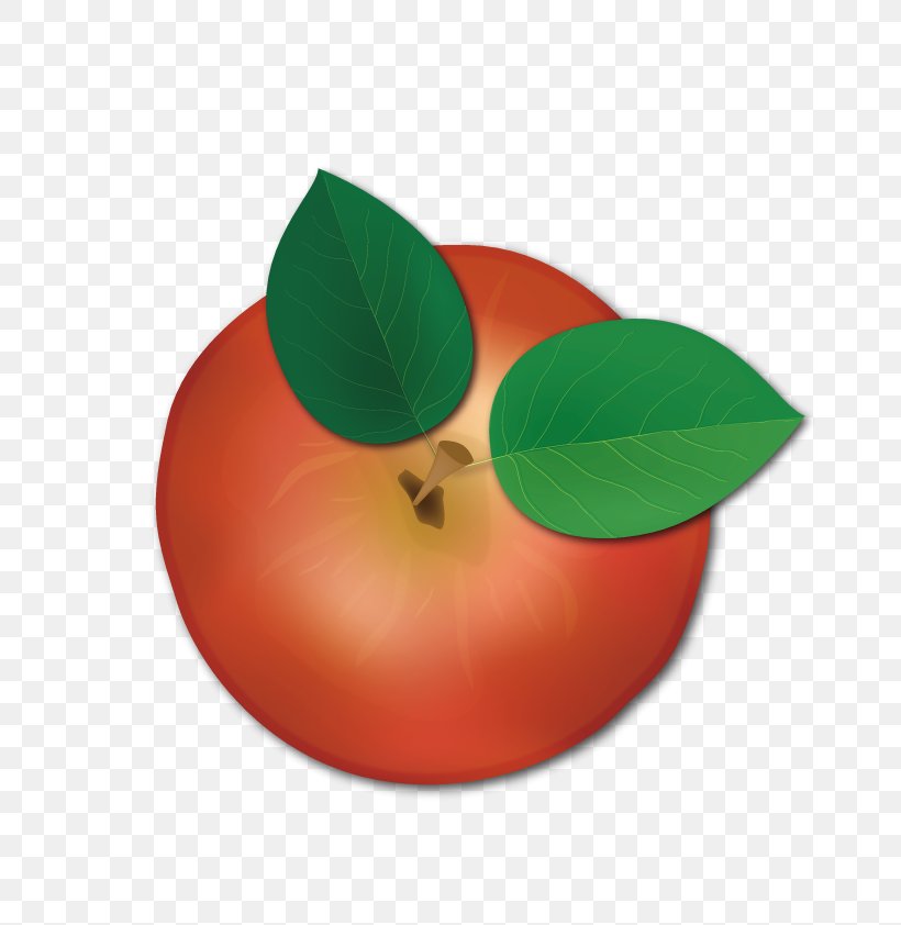 Apple Euclidean Vector, PNG, 800x842px, Apple, Designer, Food, Fruit, Green Download Free