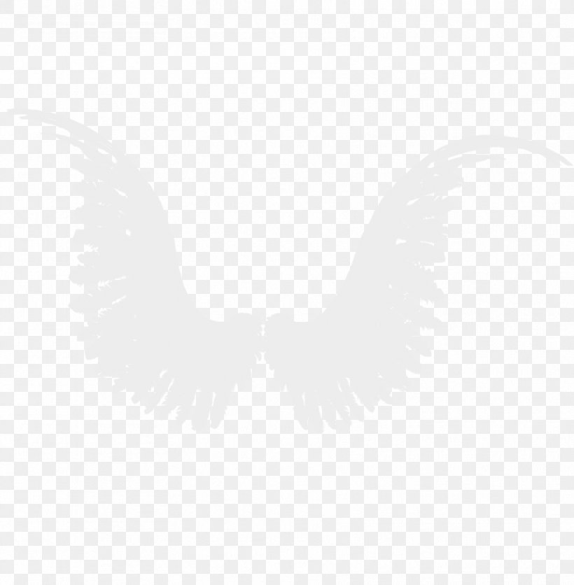 Logo White Neck Beak Font, PNG, 885x903px, Logo, Beak, Black And White, Monochrome, Monochrome Photography Download Free
