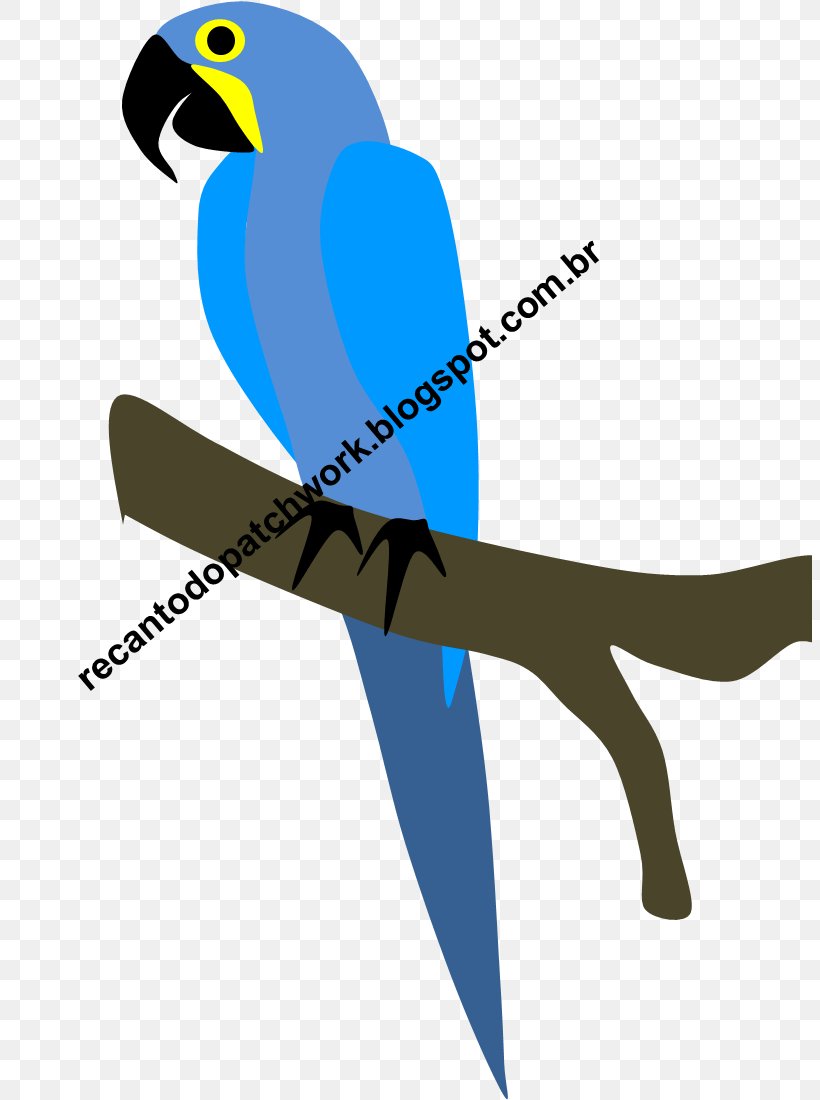 Macaw Clip Art Beak Line Microsoft Azure, PNG, 805x1100px, Macaw, Beak, Bird, Microsoft Azure, Vertebrate Download Free