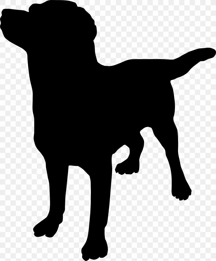 Puppy Piperton Pet Hospital Great Dane French Bulldog Rottweiler, PNG, 1987x2400px, Puppy, Bark, Bulldog, Canidae, Canine Massage Download Free