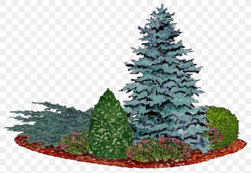 Christmas Tree Spruce Pine Fir Bedding, PNG, 1000x690px, Christmas Tree, Arborvitae, Bedding, Biome, Christmas Download Free