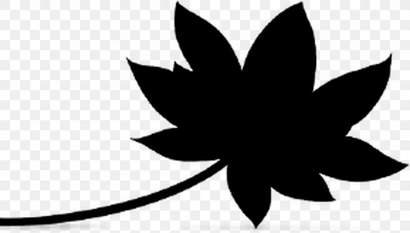 Clip Art Leaf Line Flower Tree, PNG, 1156x656px, Leaf, Blackandwhite, Botany, Flower, Monochrome Photography Download Free