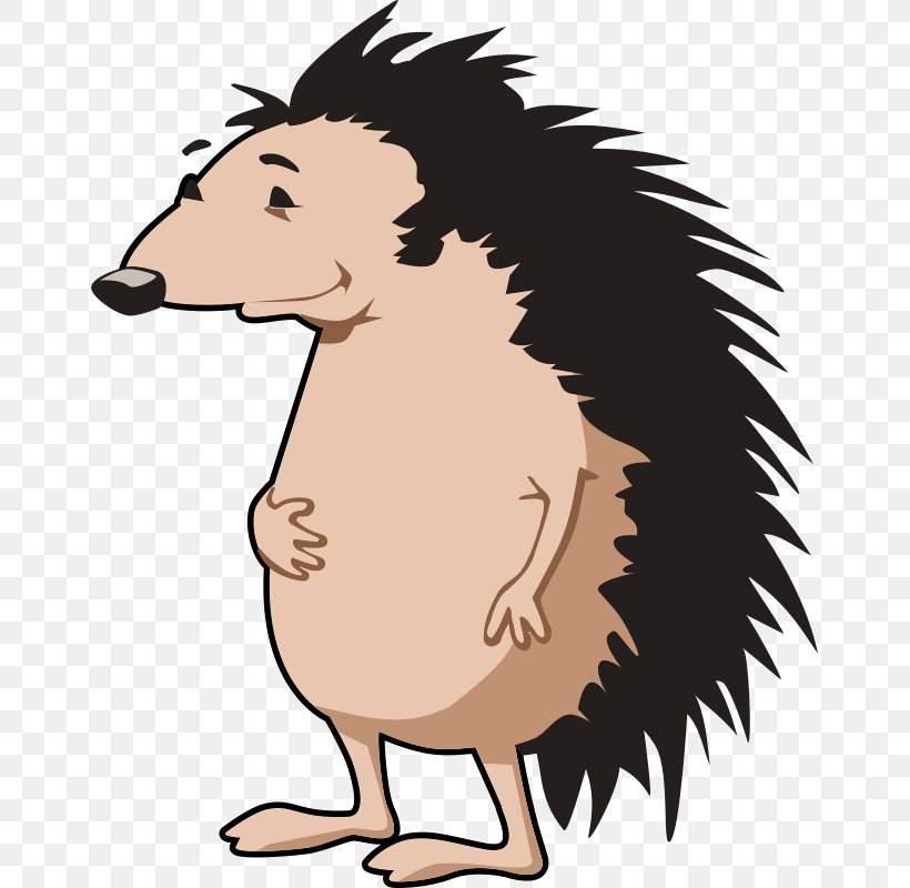 Hedgehog Free Content Clip Art, PNG, 655x800px, Hedgehog, Art, Beak, Bear, Bird Download Free