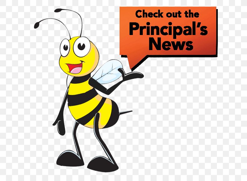 Honey Bee Longitudinal Data System Elementary School Head Teacher, PNG, 655x600px, Honey Bee, Alumnus, Area, Artwork, Bee Download Free
