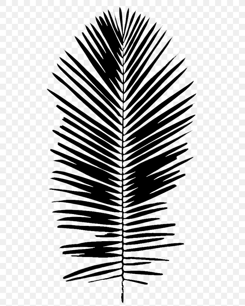 Palm Trees Black & White, PNG, 512x1024px, Palm Trees, Arecales, Black White M, Blackandwhite, Leaf Download Free