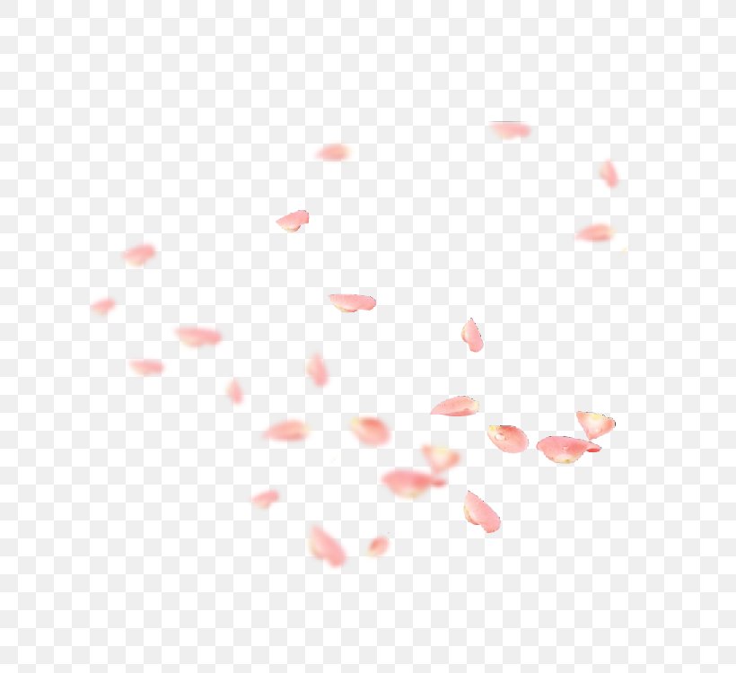 Petal Flower Pink Download, PNG, 750x750px, Petal, Area, Color, Flower, Google Images Download Free