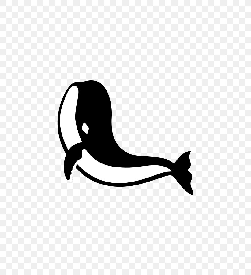 Shark Clip Art, PNG, 637x900px, Shark, Beak, Bird, Black, Black And White Download Free