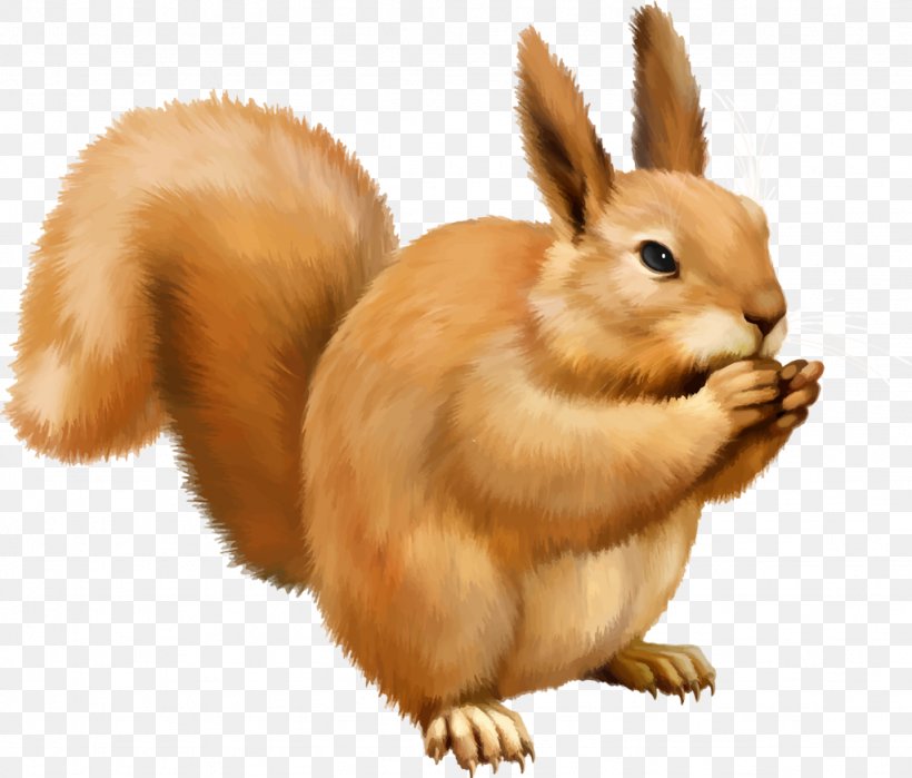 Tree Squirrels Icon, PNG, 1024x874px, Tree Squirrels, Chipmunk, Digital Image, Domestic Rabbit, Fauna Download Free