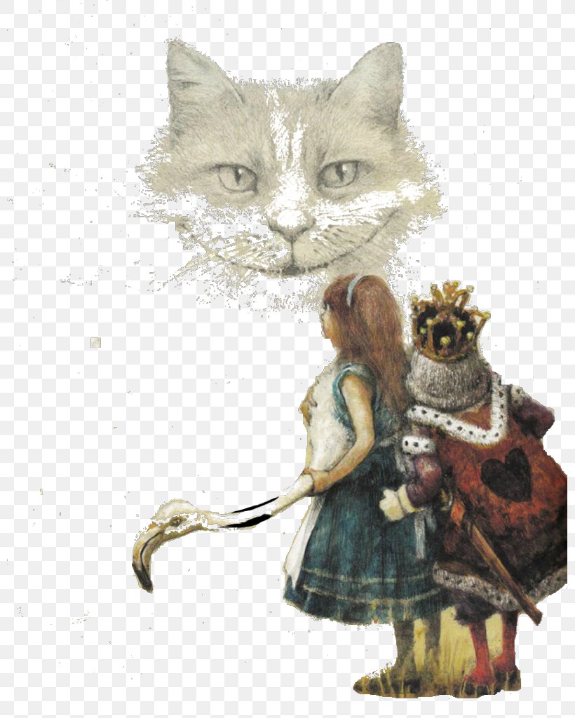 Alice's Adventures In Wonderland Cheshire Cat Book, PNG, 799x1024px, Alice S Adventures In Wonderland, Alice, Alice In Wonderland, Arthur Rackham, Author Download Free