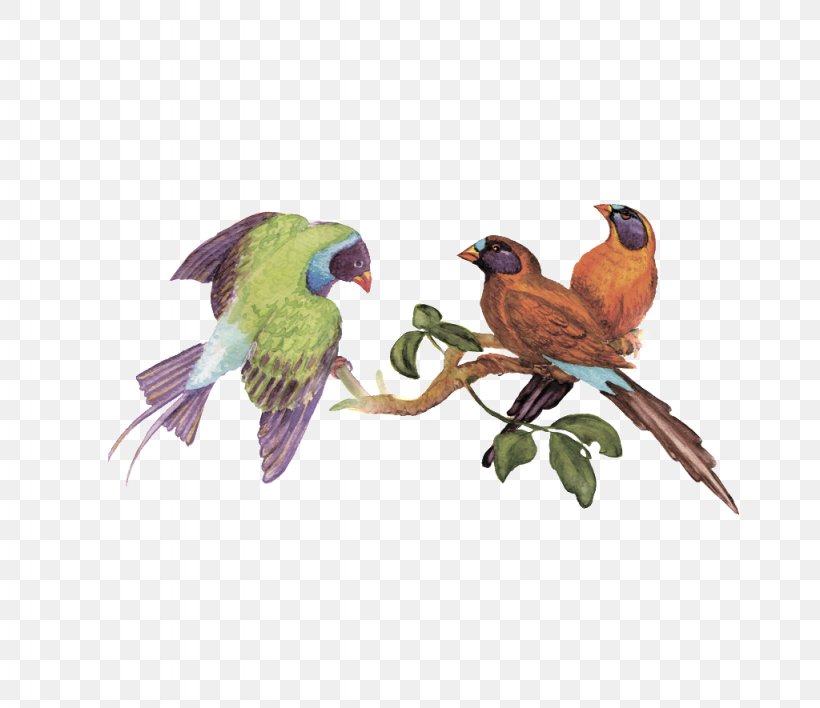 Bird Clip Art Parrot Macaw Vector Graphics, PNG, 1024x885px, Bird, Beak, Birdcage, Conure, Fauna Download Free