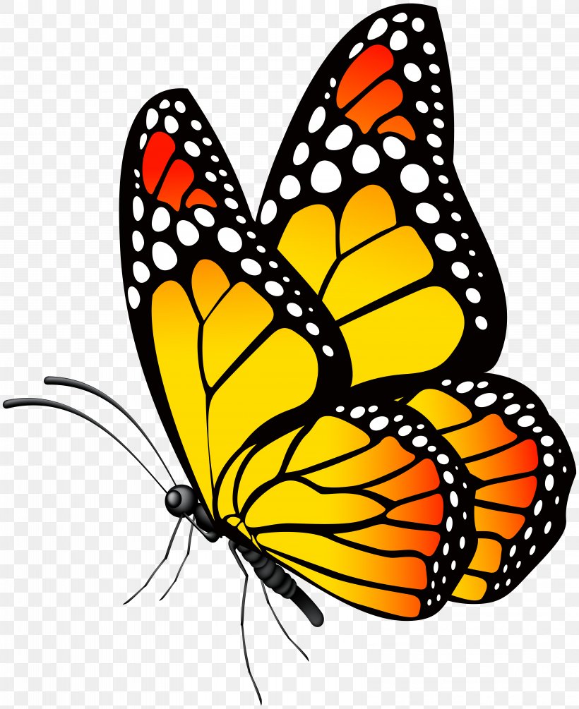 Butterfly Clip Art, PNG, 6521x8000px, Butterfly, Brush Footed Butterfly, Clip Art, Color, Danaus Genutia Download Free