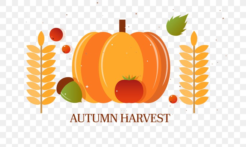 Pumpkin Autumn Harvest, PNG, 700x490px, Pumpkin, Autumn, Calabaza, Diet Food, Food Download Free