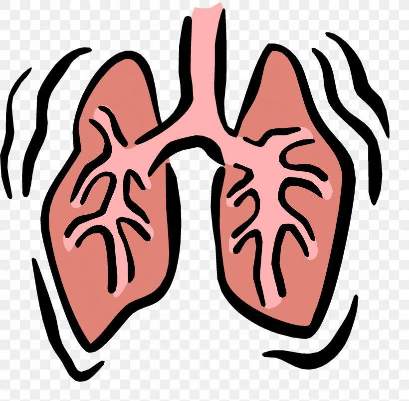 Respiratory System Respiratory Therapist Respiration Respiratory Failure Clip Art, PNG, 2444x2394px, Watercolor, Cartoon, Flower, Frame, Heart Download Free