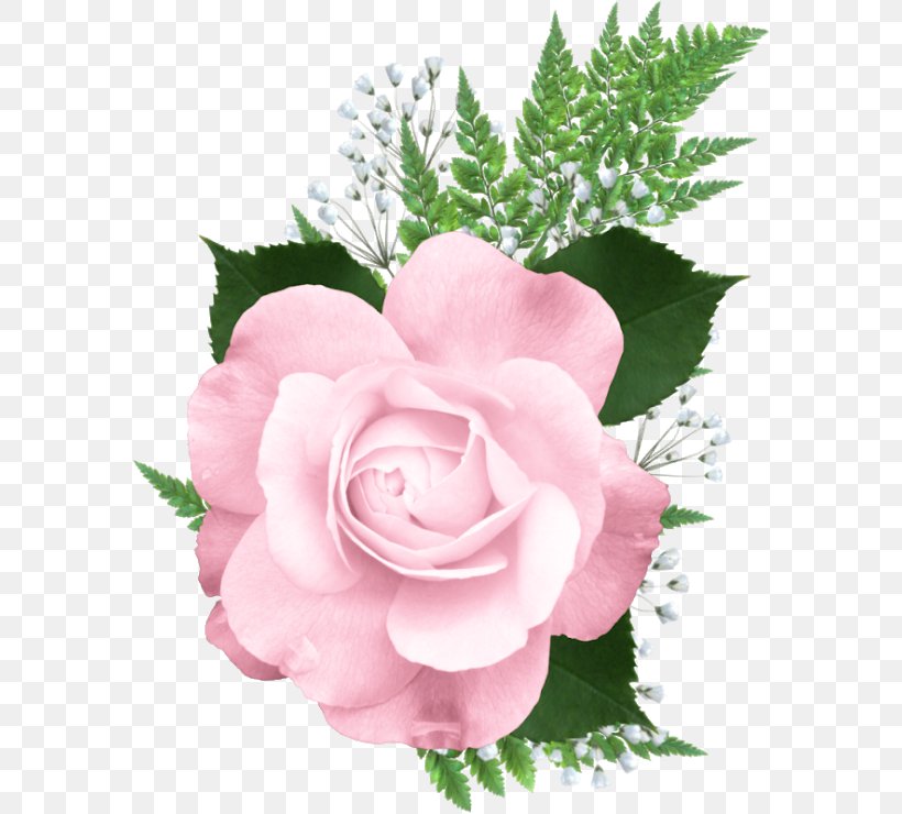Rose Of Sharon Clip Art, PNG, 580x740px, Rose, Blue Rose, Color, Cut Flowers, Floral Design Download Free