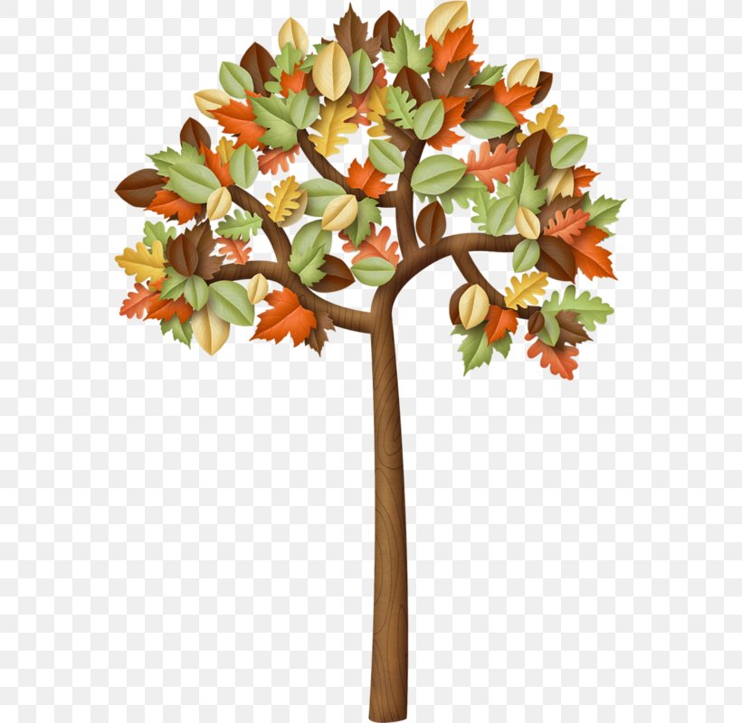 Autumn Drawing Tree Clip Art, PNG, 567x800px, Autumn, Art, Branch, Cut Flowers, Drawing Download Free