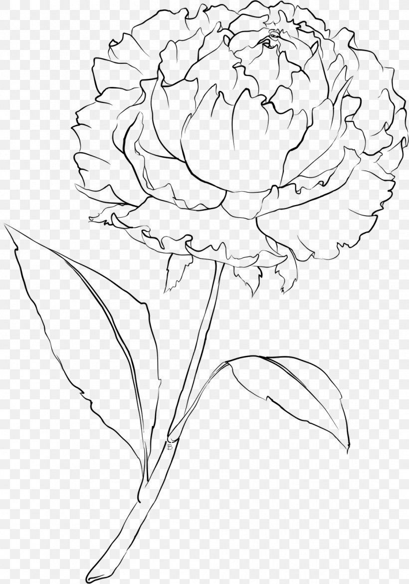 Drawing Peony Line Art, PNG, 1121x1600px, Drawing, Art, Artwork, Black And White, Branch Download Free