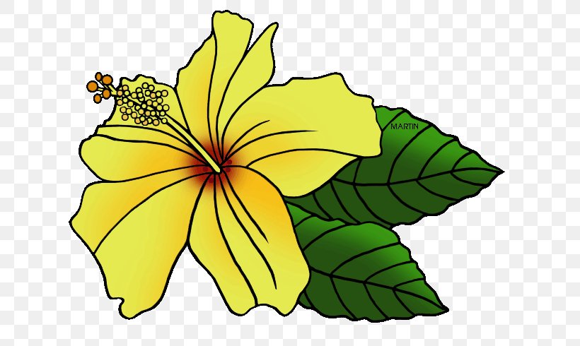 Hawaiian Hibiscus State Flower Clip Art, PNG, 648x490px, Hawaii, Artwork, Cut Flowers, Flora, Floral Design Download Free