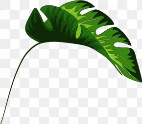 Flower Arum Family - Pastel Palm September Black IPhone PNG