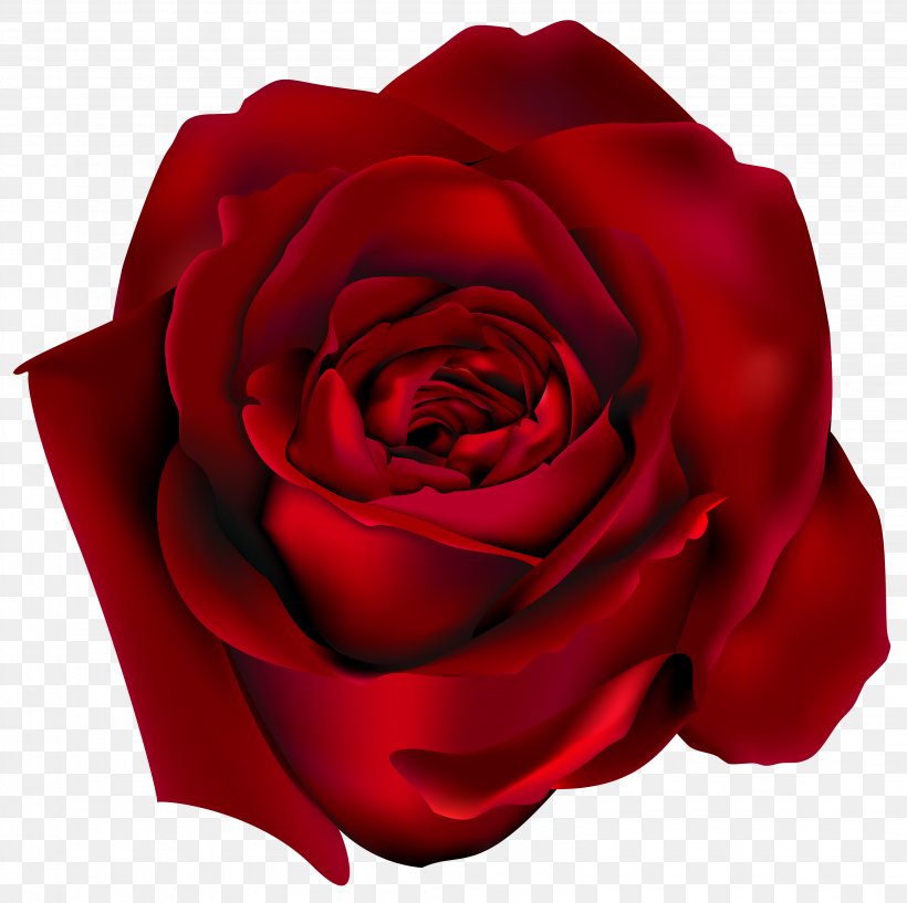 Rose Flower Clip Art, PNG, 3087x3078px, Rose, Art, Blog, China Rose, Close Up Download Free