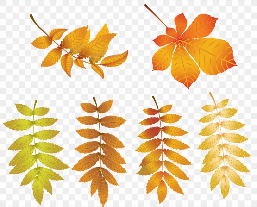 Autumn Clip Art, PNG, 8000x6449px, Symmetry, Branch, Fruit, Leaf, Orange Download Free