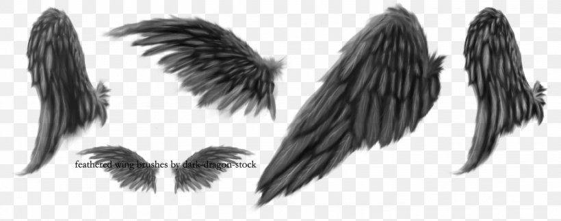 Brush Drawing DeviantArt, PNG, 2941x1161px, Brush, Art, Beak, Black And White, Deviantart Download Free