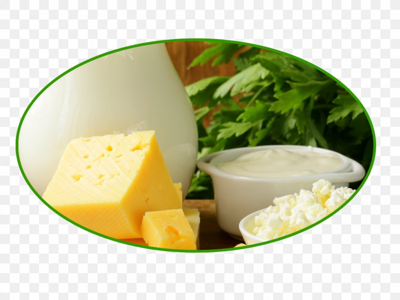 Milk And Milk Products Dairy Products Cheese Adulterant, PNG, 1024x768px, Milk, Adulterant, Beyaz Peynir, Butter, Cheese Download Free