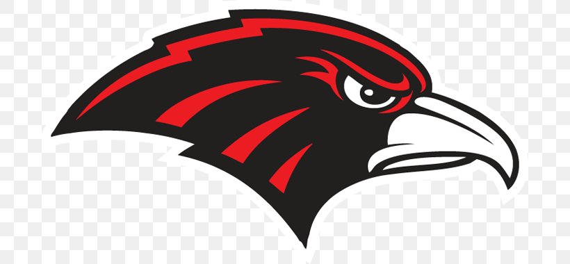 Murrieta Valley High School Vista Murrieta High School Nighthawk Way Chaparral High School, PNG, 700x380px, School, Automotive Design, Beak, Bicycle Helmet, Bird Download Free